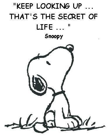 snoopy quotoe