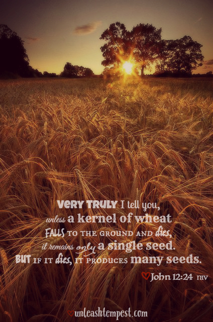 John 12.24